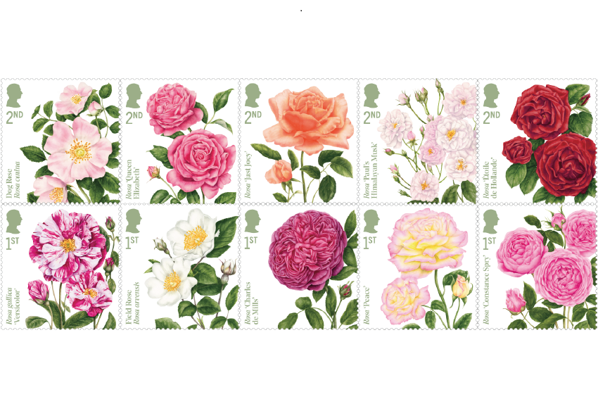 Royal Mail Celebrates the Beauty of Roses with a New Stamp Collection