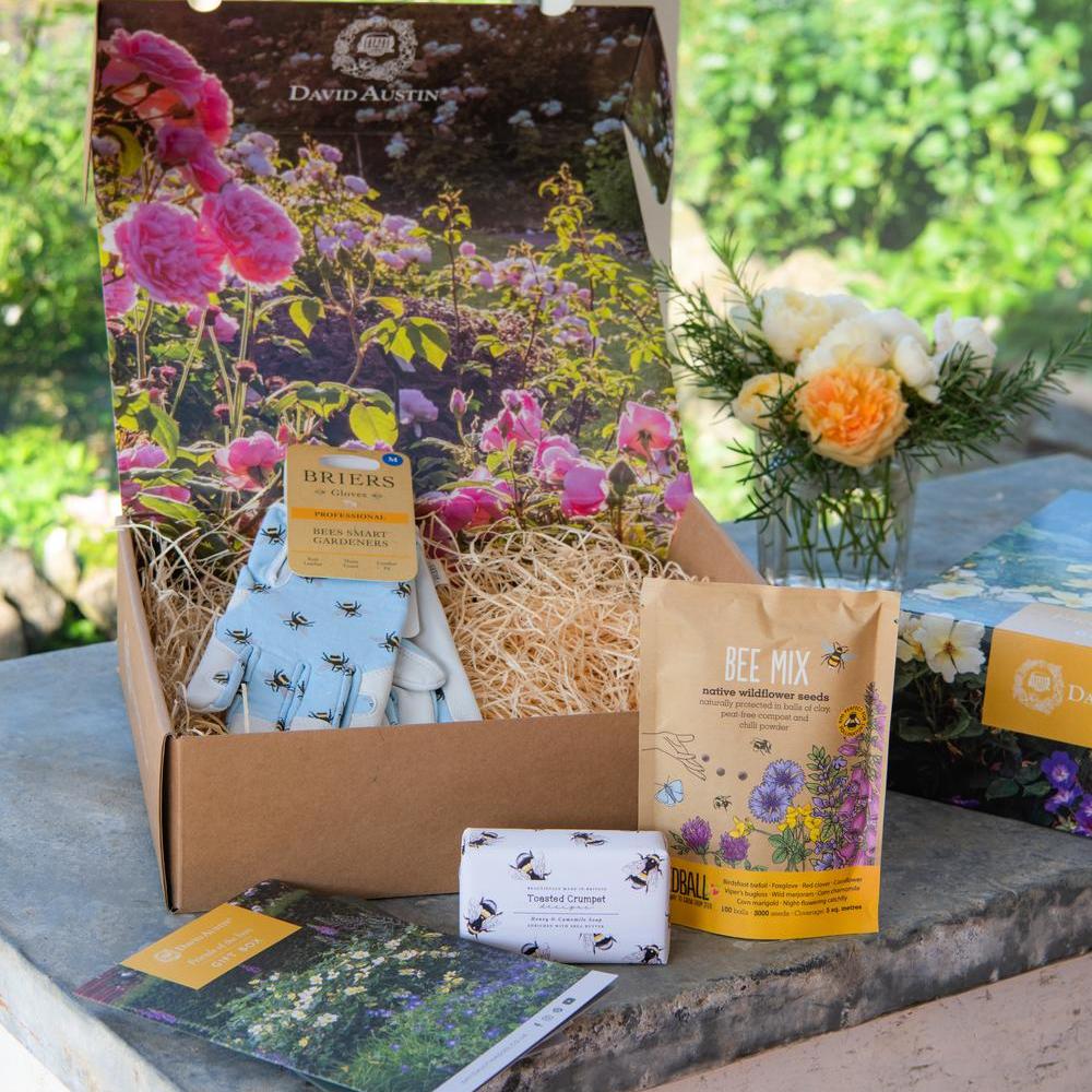 Friends of the Bees gift box