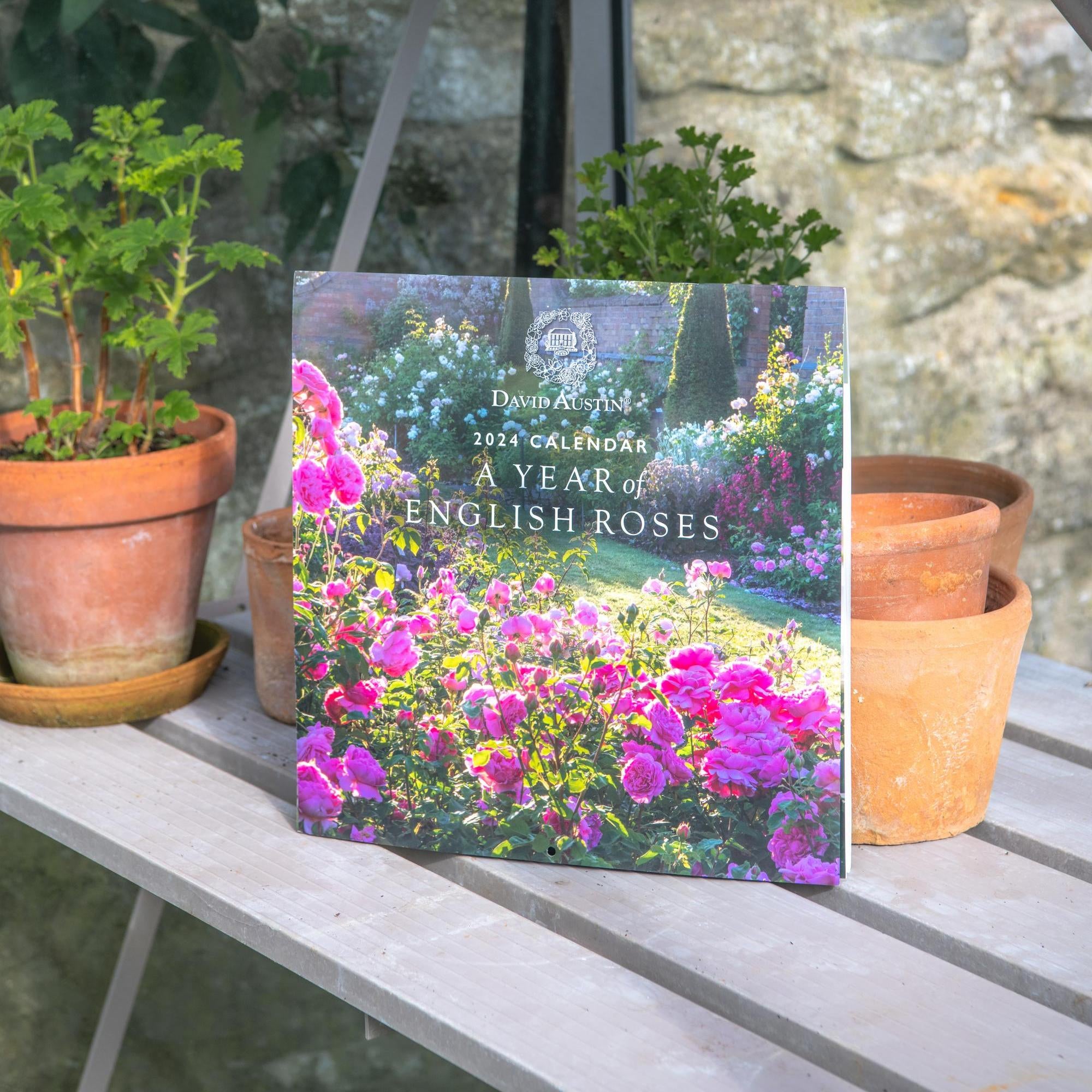 Gifts for Gardeners David Austin Roses