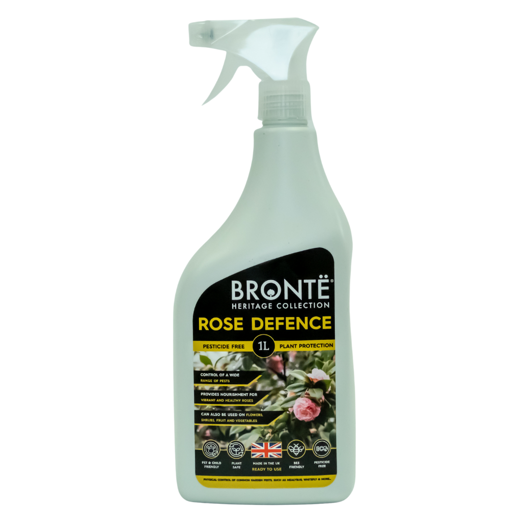 Bronte Rose Defence