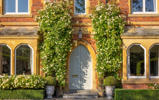 How to Train and Tie-In Roses | David Austin