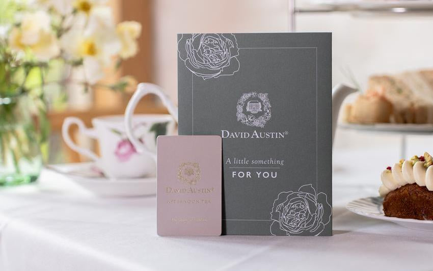 David Austin afternoon tea gift card in a festive setting