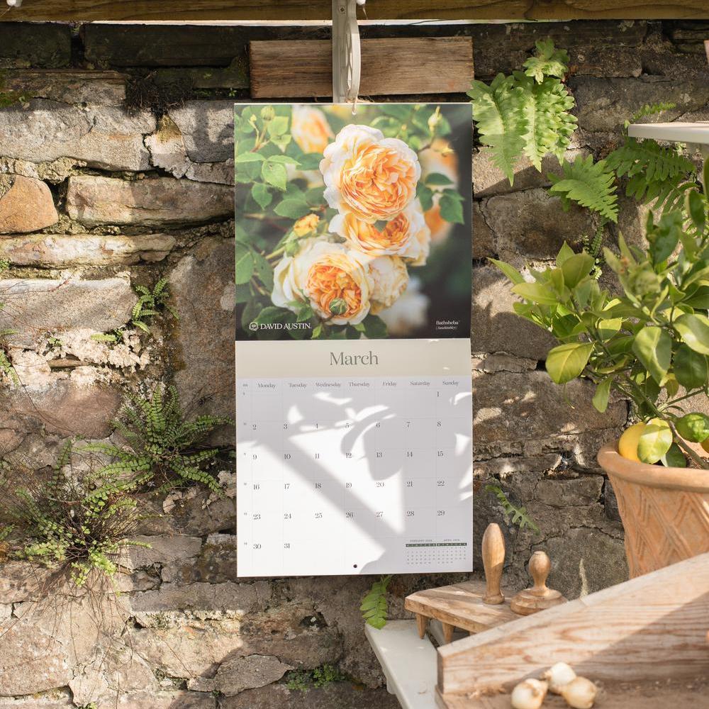 David Austin 2026 Wall Calendar