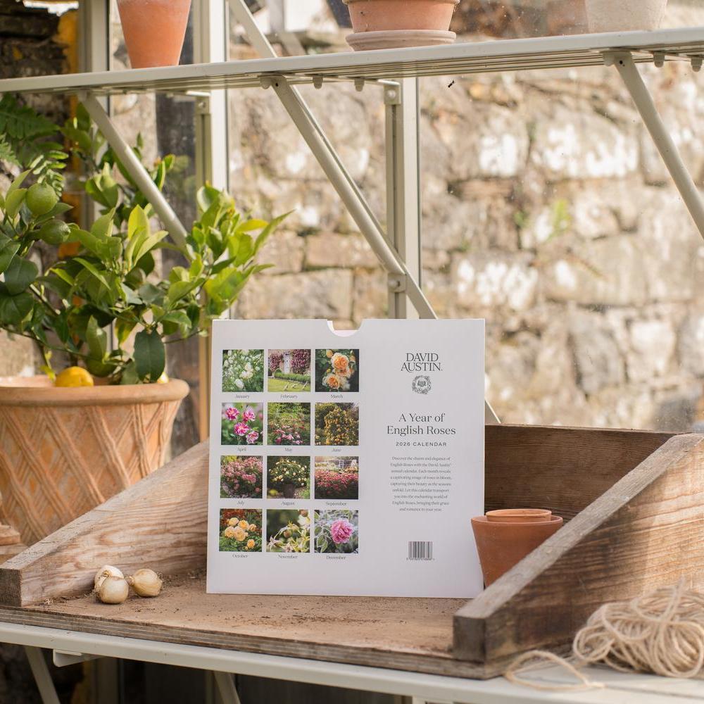 David Austin 2026 Wall Calendar