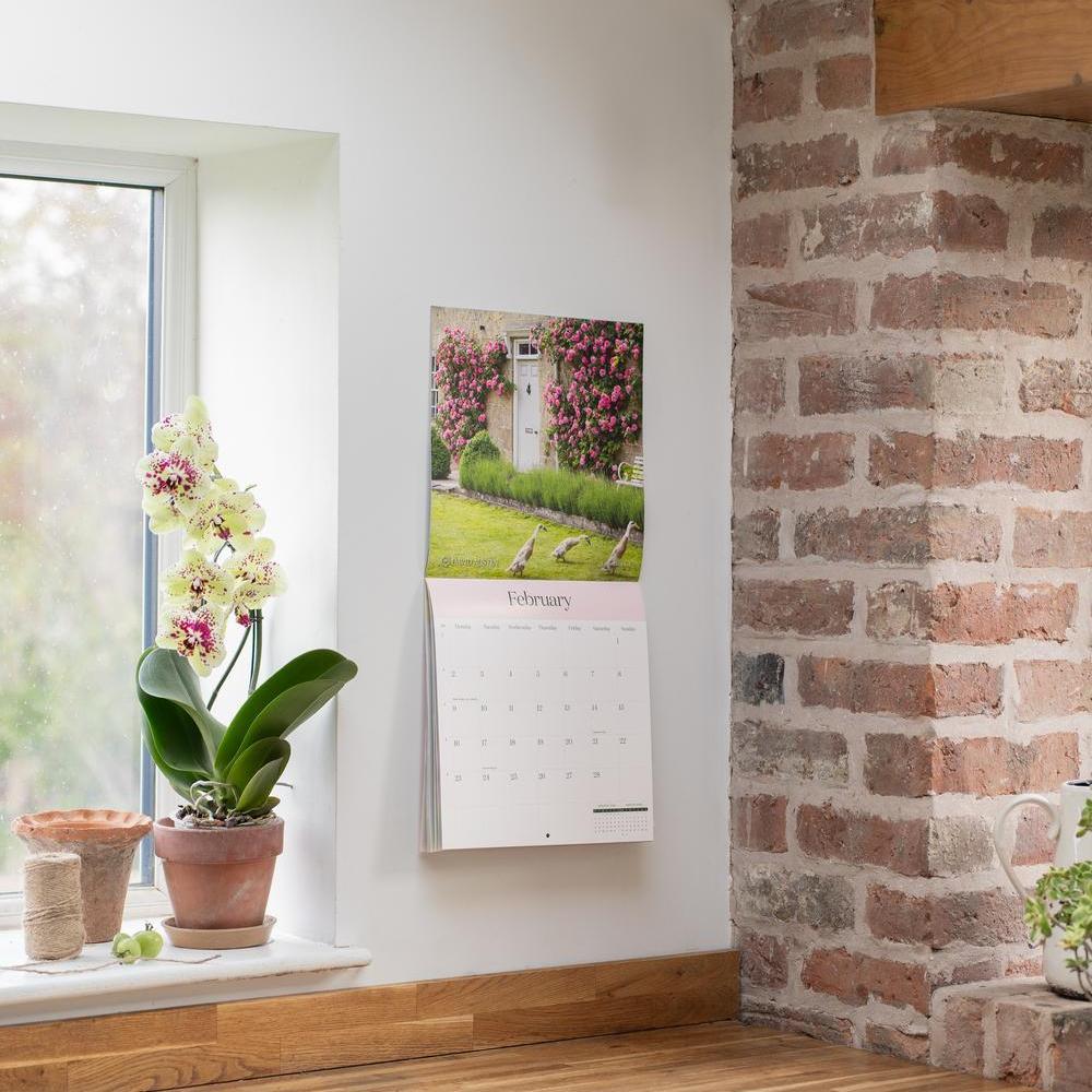 David Austin 2026 Wall Calendar
