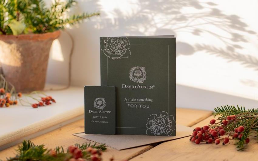 David Austin gift card in a festive setting