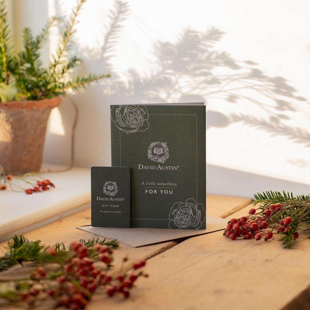 David Austin gift card in a festive setting
