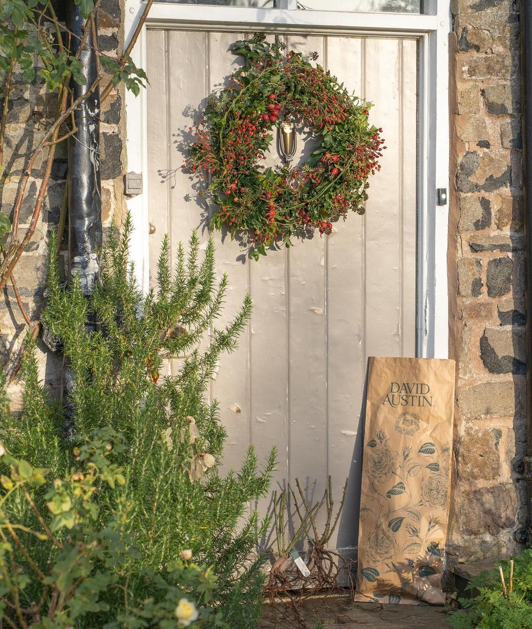 Red rose hip wreath hanging on a door