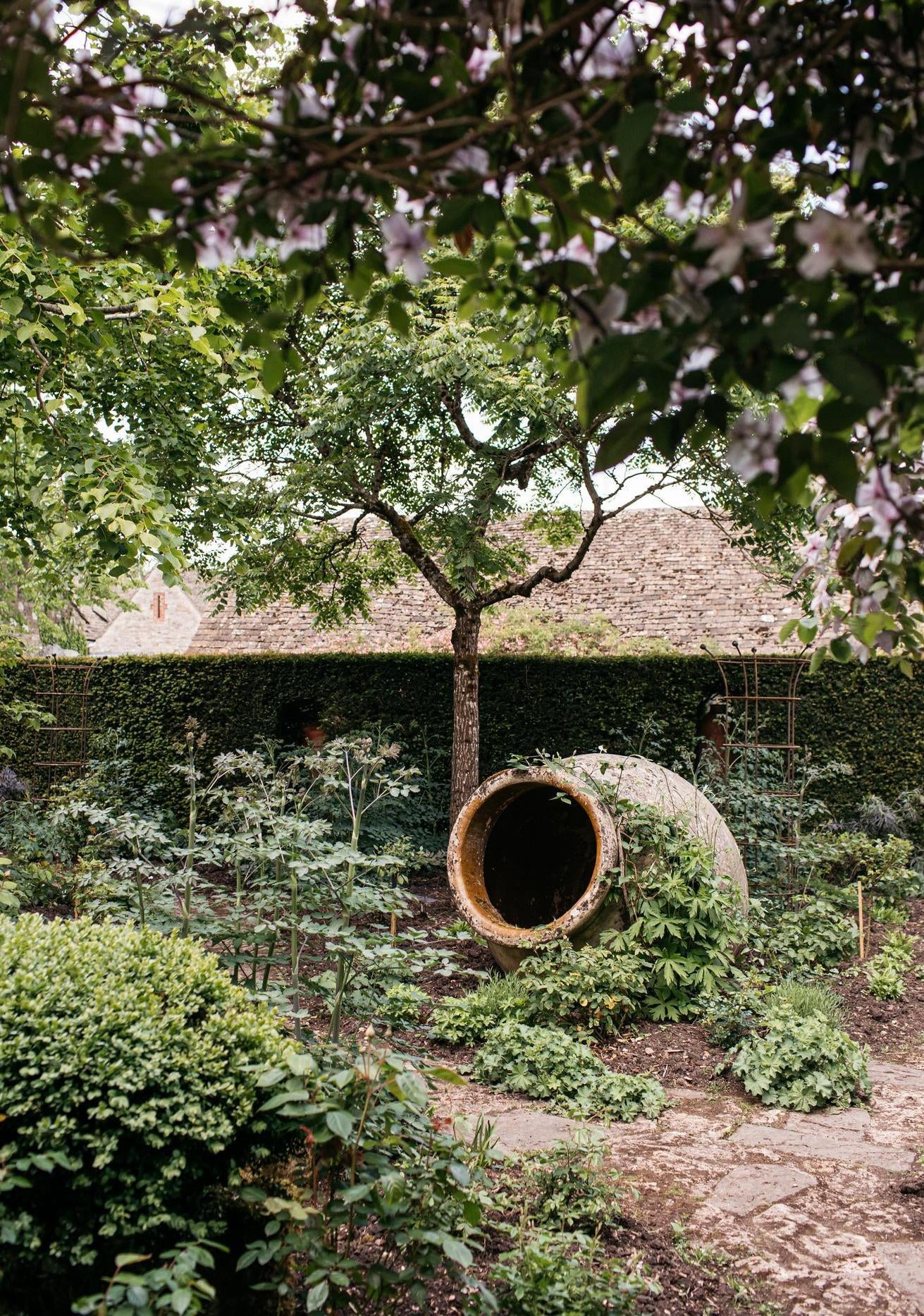 Garden shot at highgrove