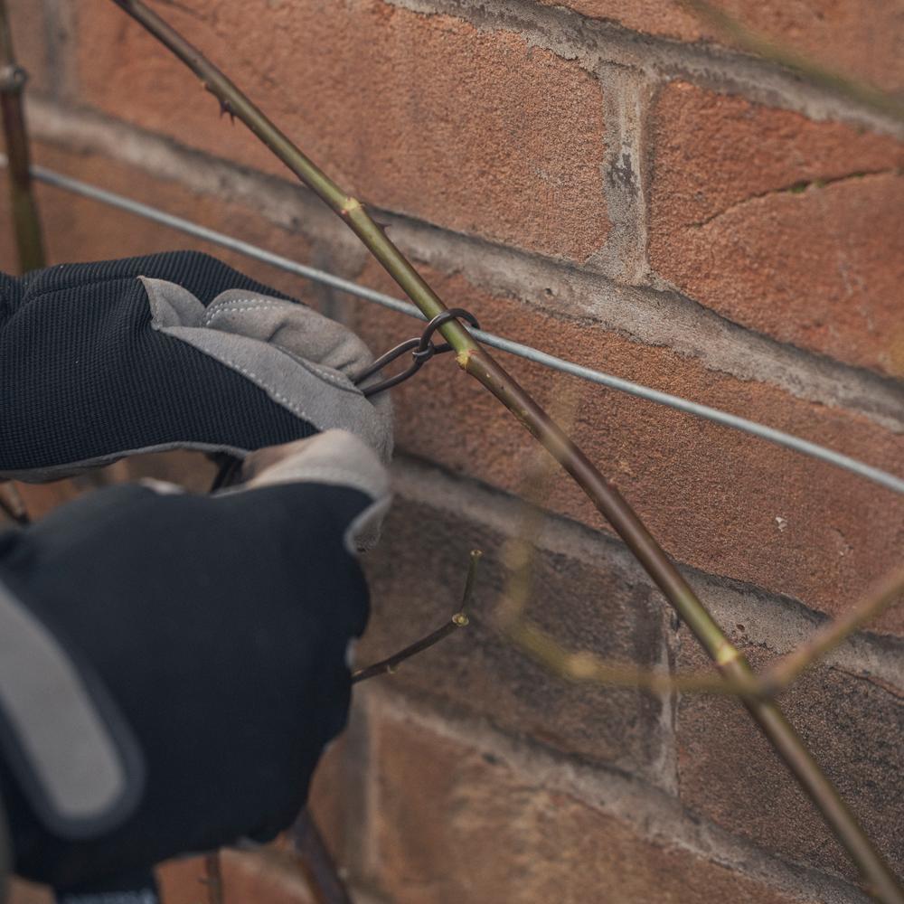 Person training and tying in a rose