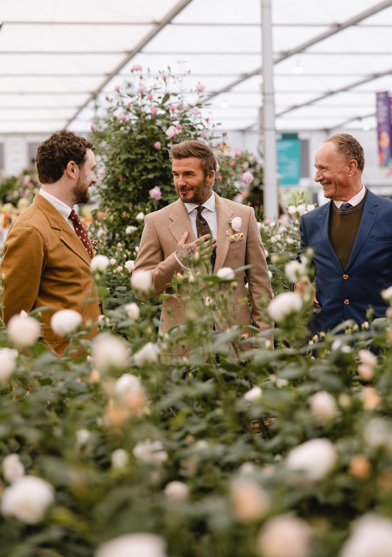 Sir David Beckham, David Austin and Richard Austin at the Chelsea Flower Show