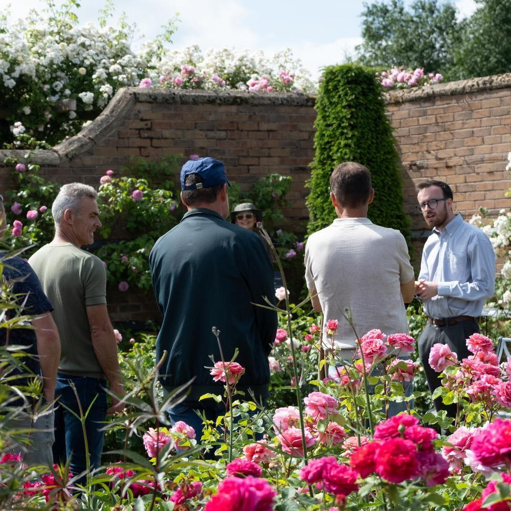 David Austin employee giving a tour in the gardens