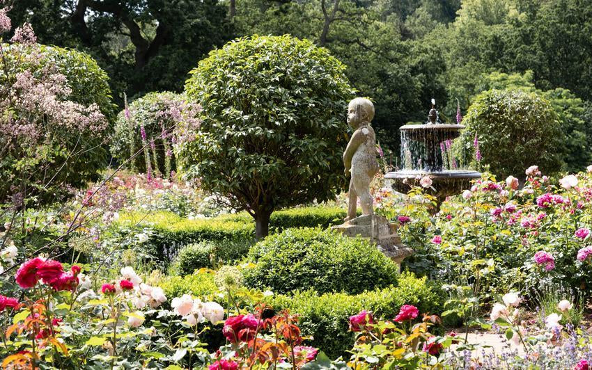English rose garden at Belvoir Caste featuring English roses