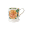 Bring Me Sunshine ½ Pint Mug