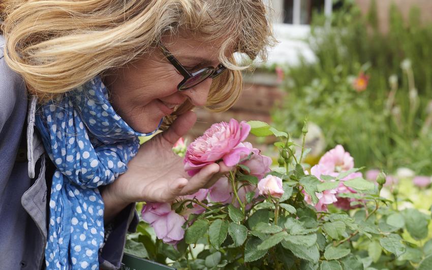 From Chelsea to Your Garden: Emma Bridgewater® (Ausb44a16) | David