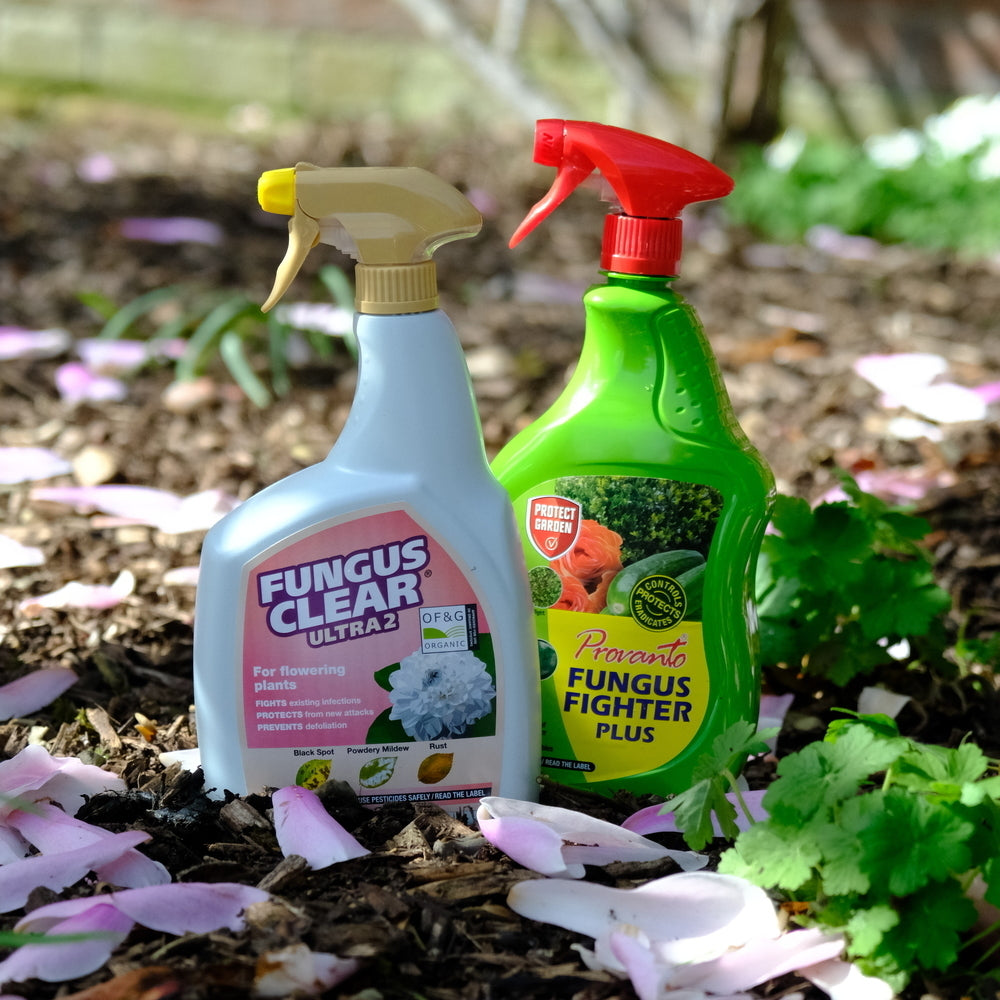 Rose care products in a garden setting
