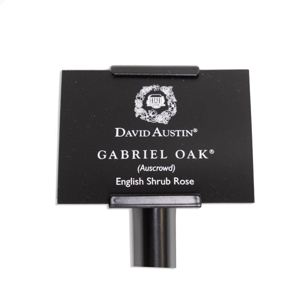 Gabriel Oak Engraved Rose Label & Stake