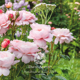 David Austin Roses - 2023 Handbook of Roses Cover