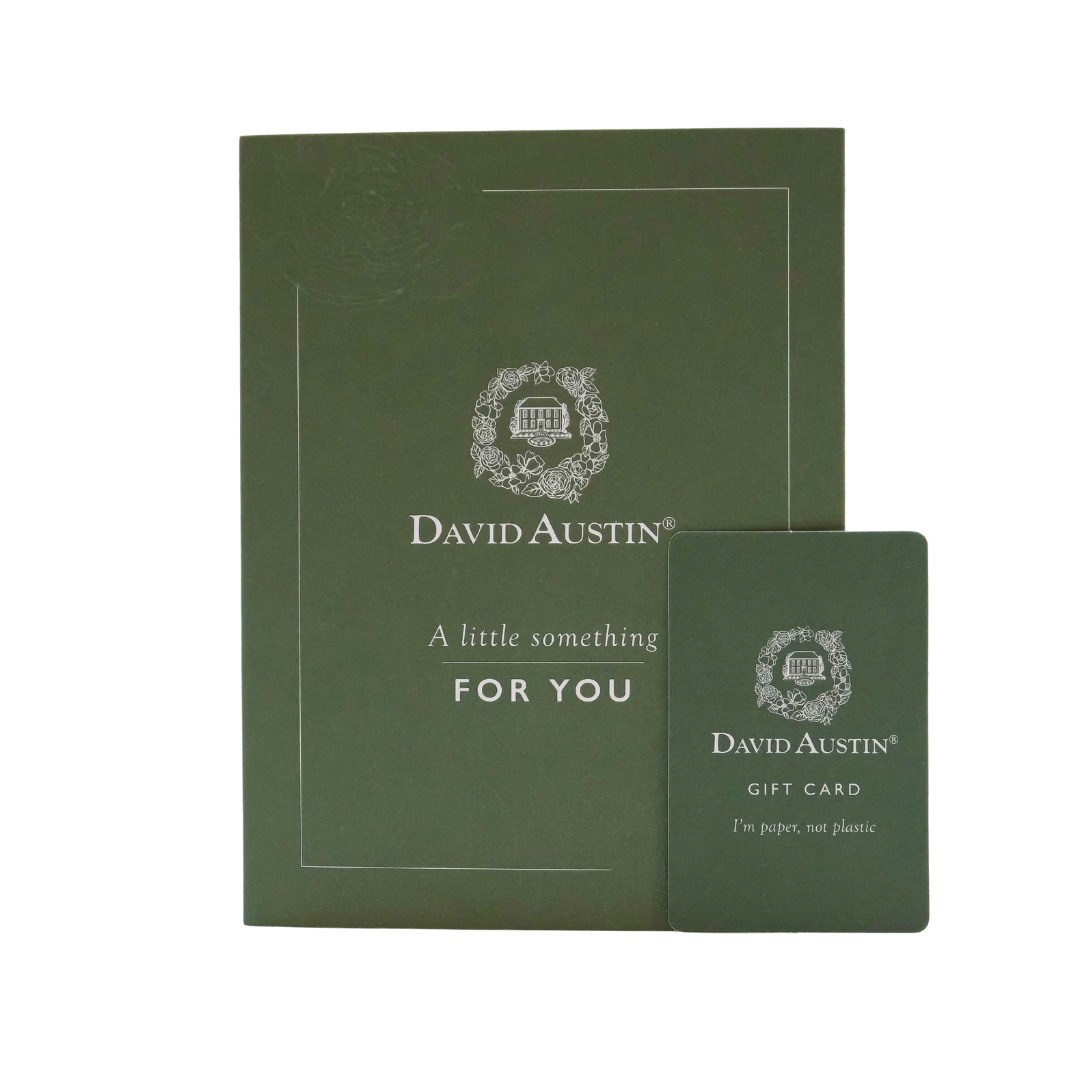David Austin Roses Gift Card