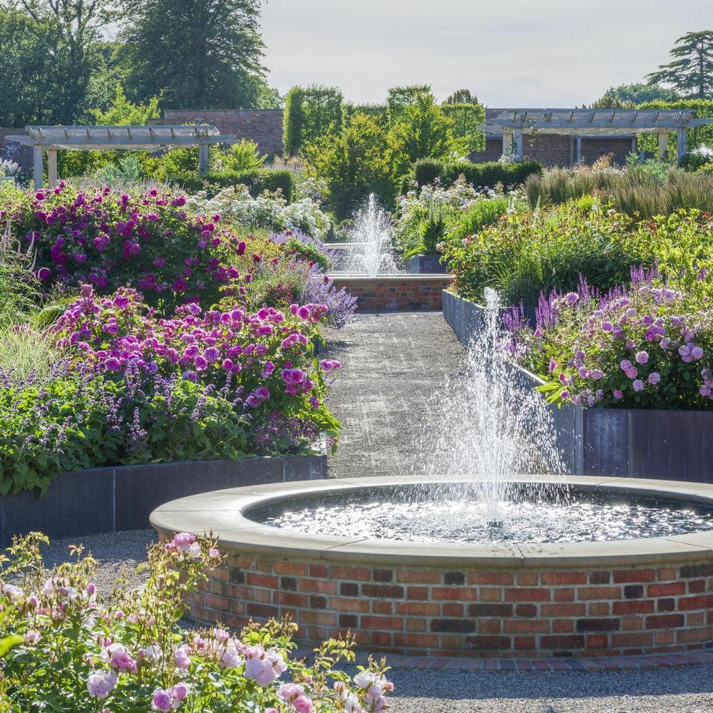 Wynyard_Hall_Rose_Garden
