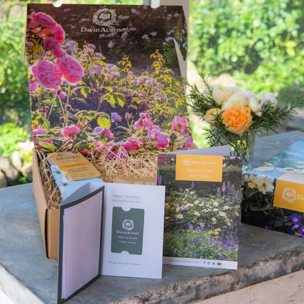 Friends of the Bees gift box