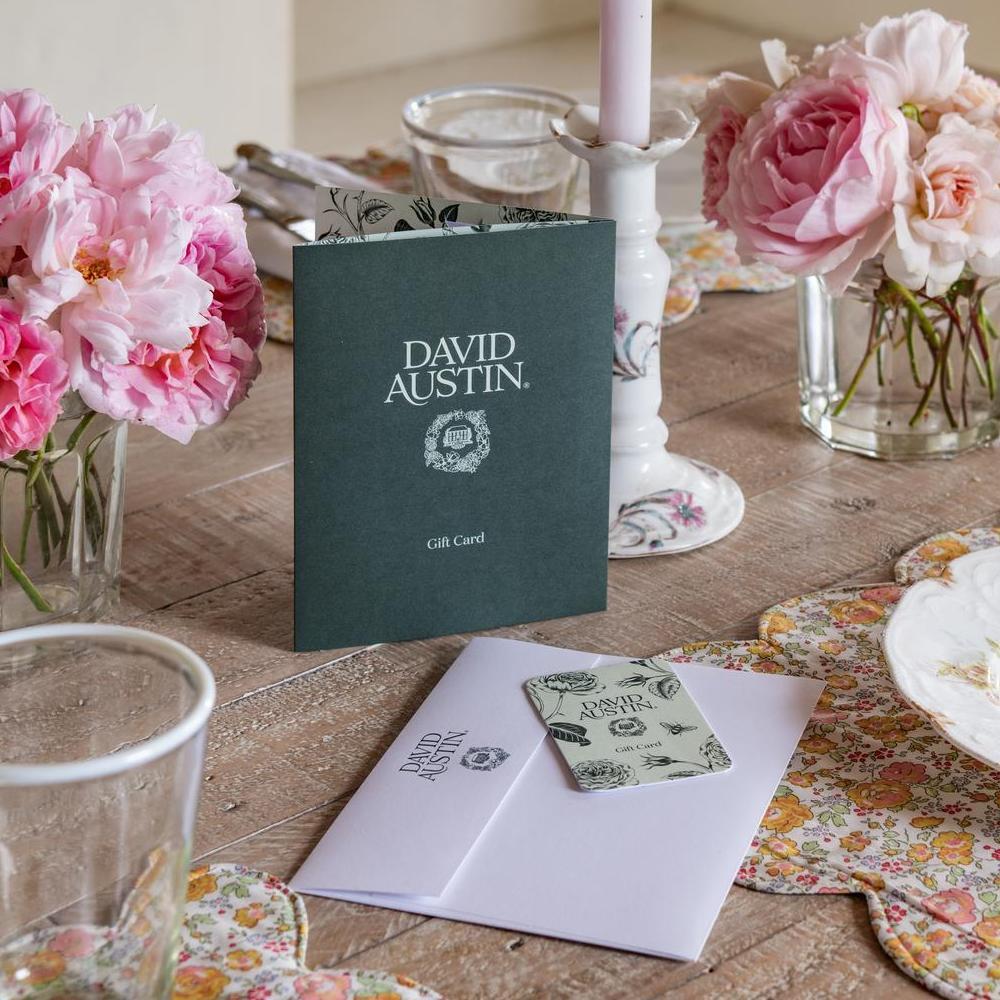 David Austin Roses Gift Card