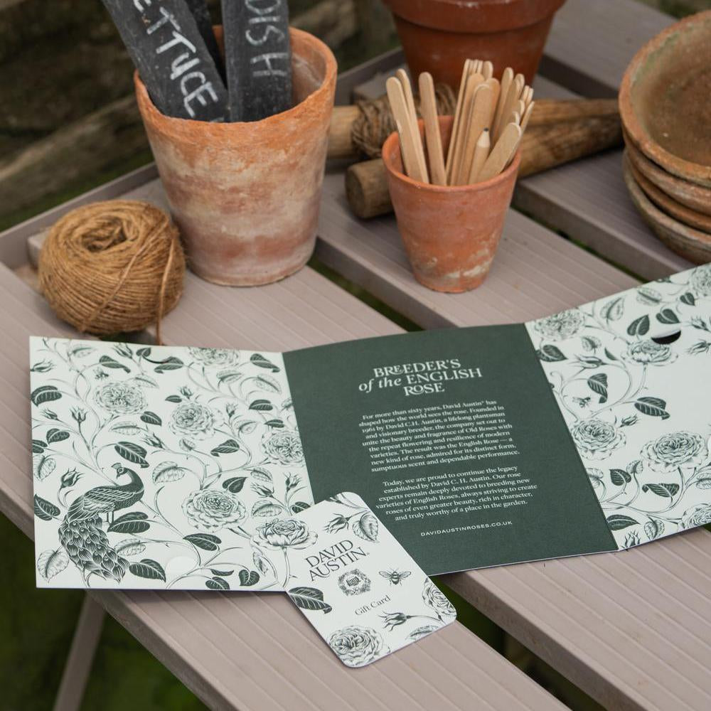 David Austin Roses Gift Card