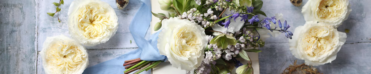 David Austin Wedding Roses - Luxury Cut Roses