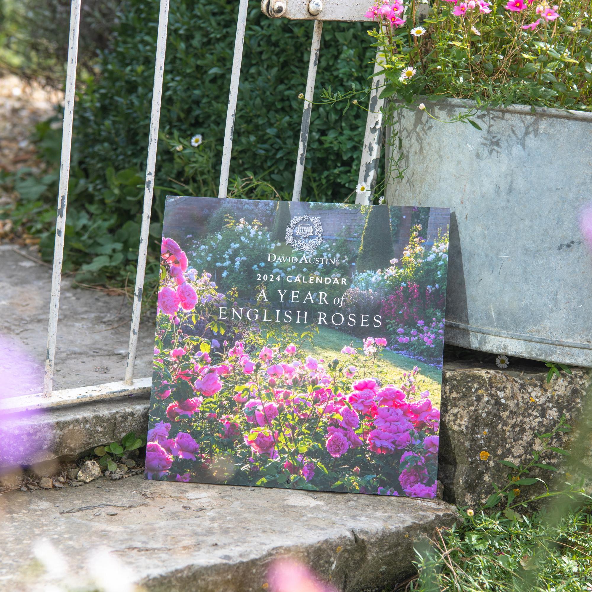 David Austin 2024 Wall Calendar Calendar Gifts David Austin Calendar 2025 Uk