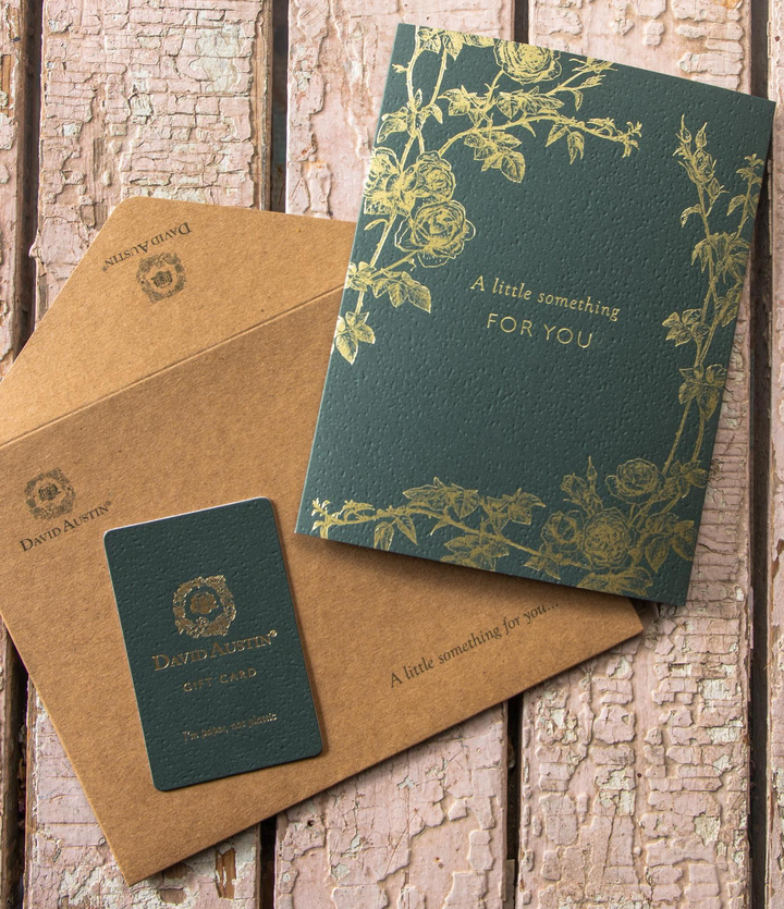 David Austin Roses Gift Card in green and gold shown with sleeve and envelope