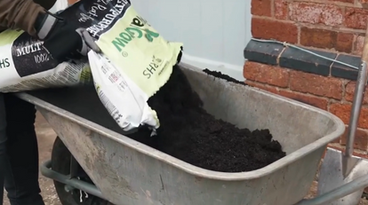 How To Plant Your Potted Climbing Rose In A Pot