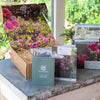Tea in the Garden gift box