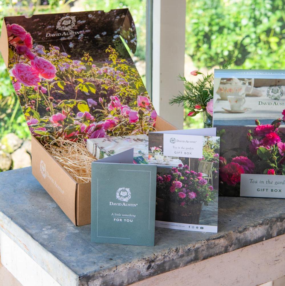 Tea in the Garden gift box (Includes Rose Voucher)