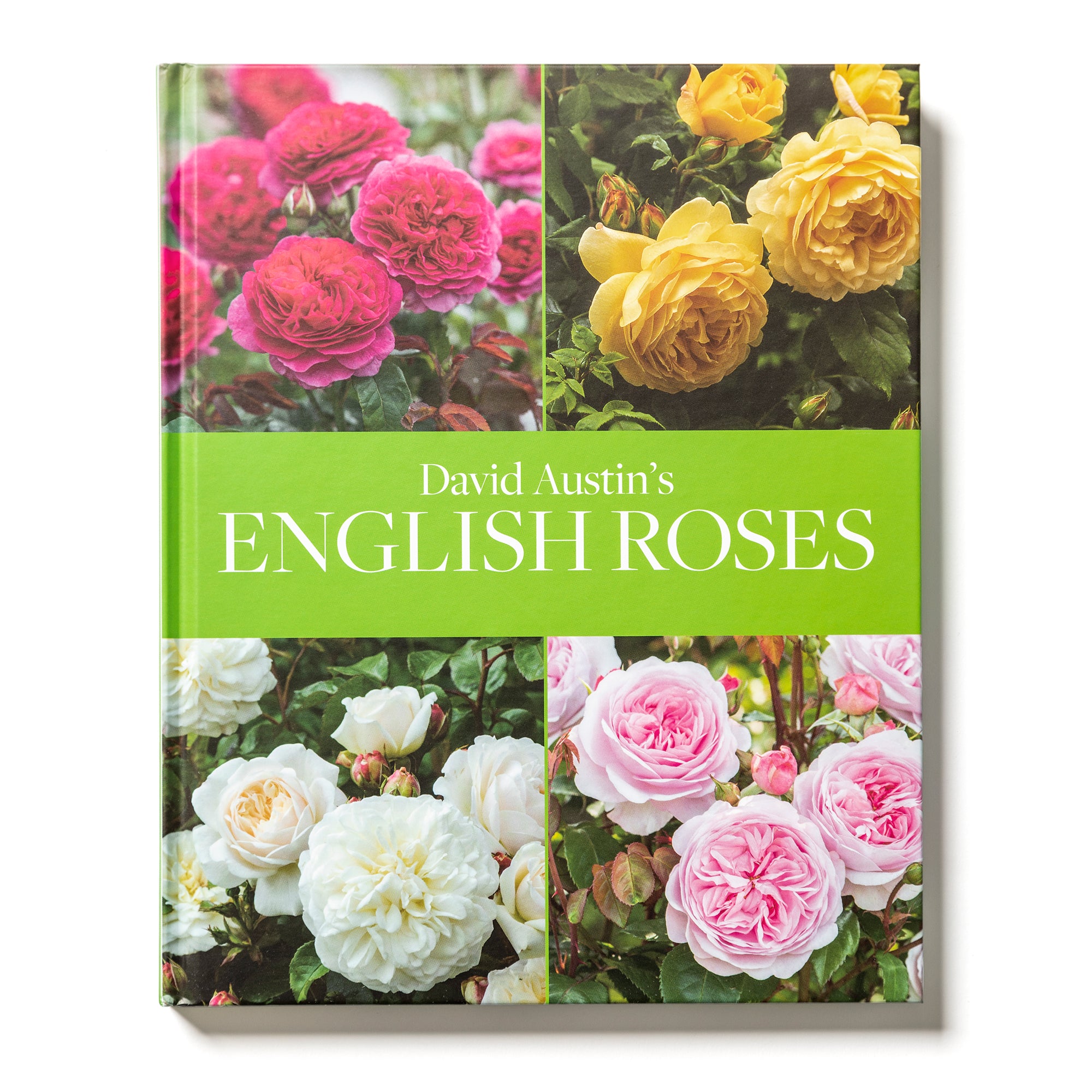 David Austin's English Roses