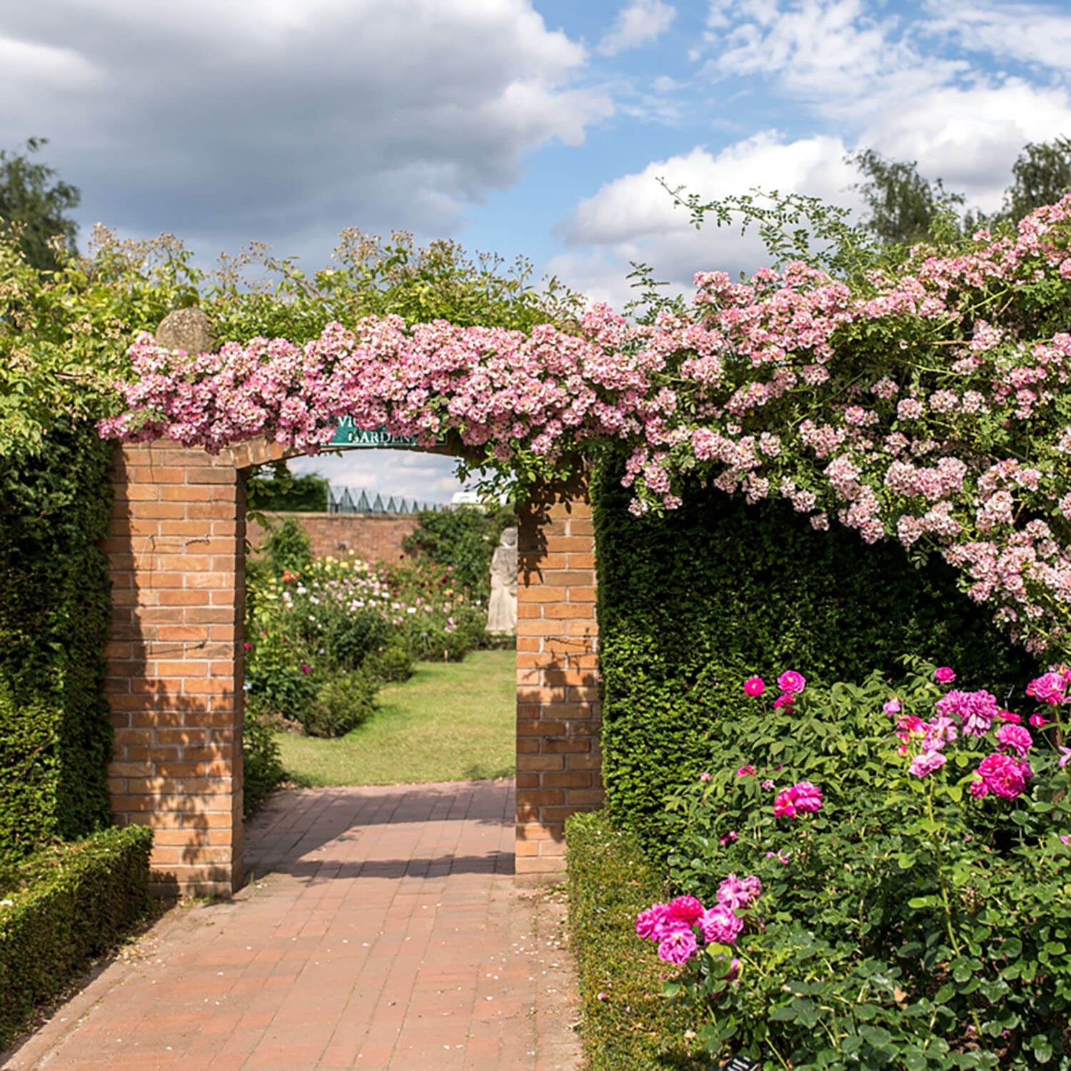 Kew Rambler