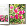 David Austin's English Roses
