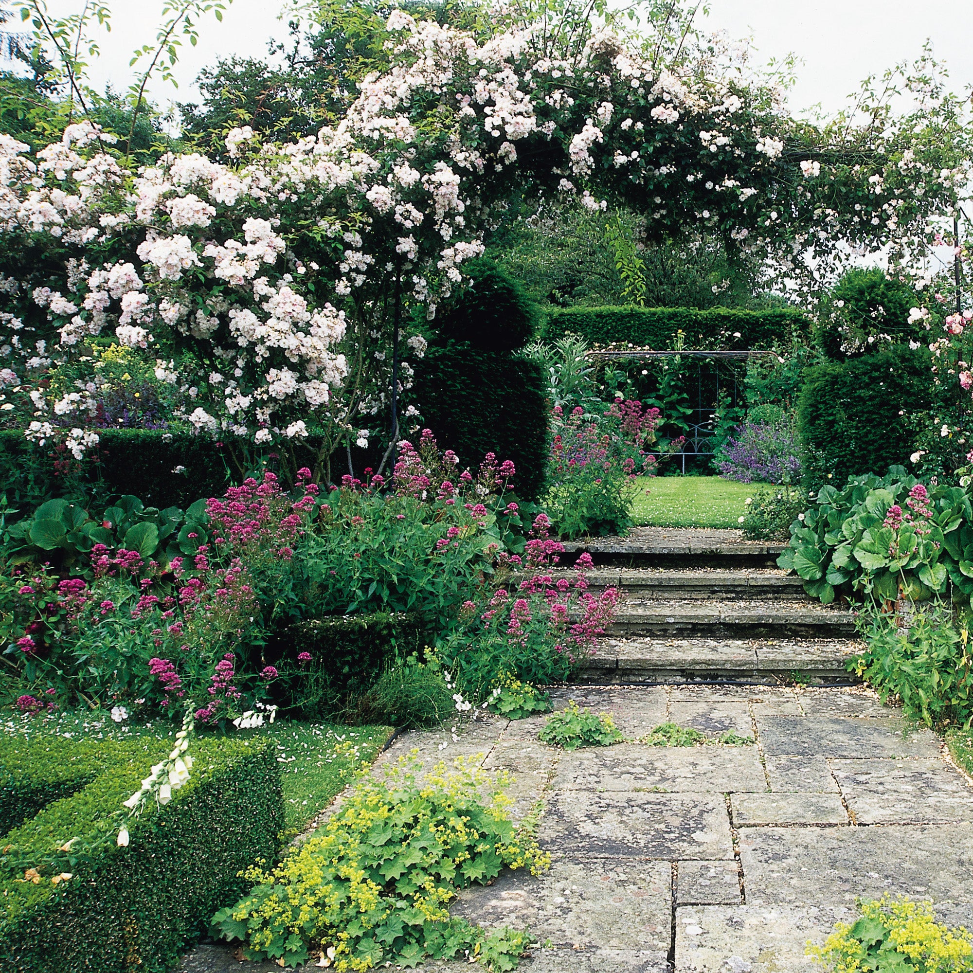 Paul's Himalayan Musk