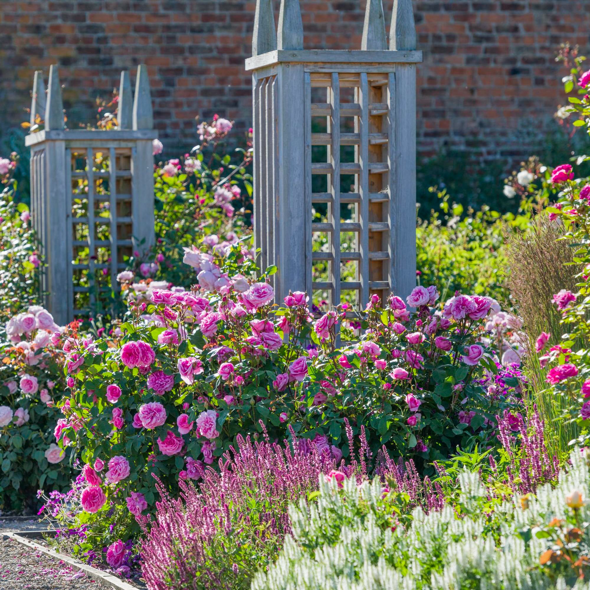 Gertrude Jekyll®