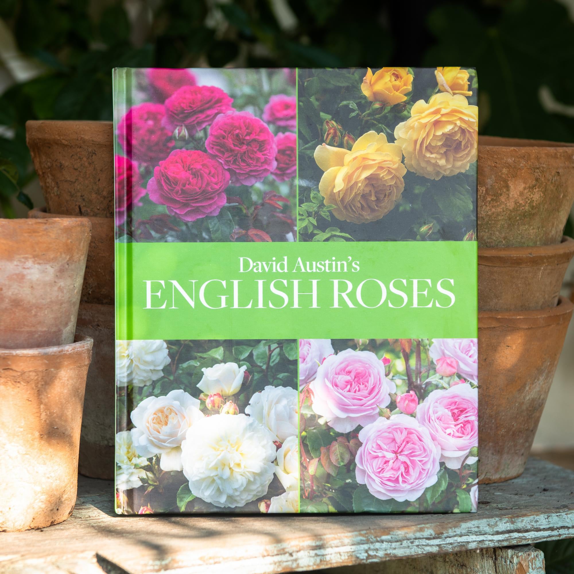 David Austin's English Roses