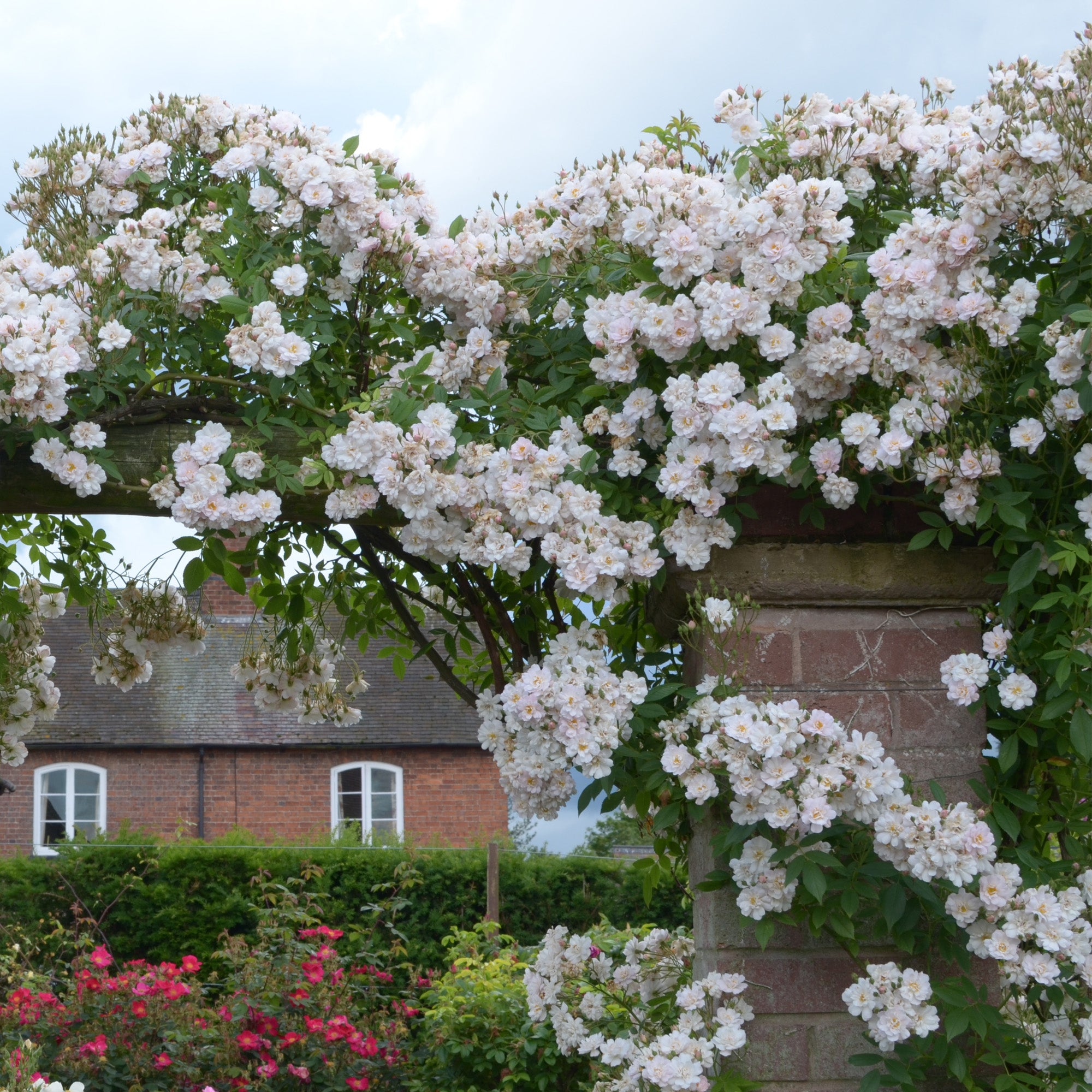 The Garland