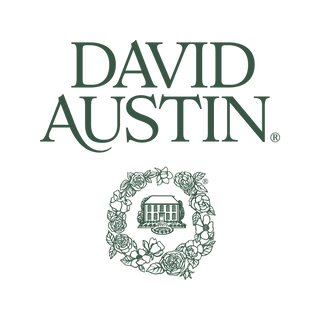 David Austin Roses - UK